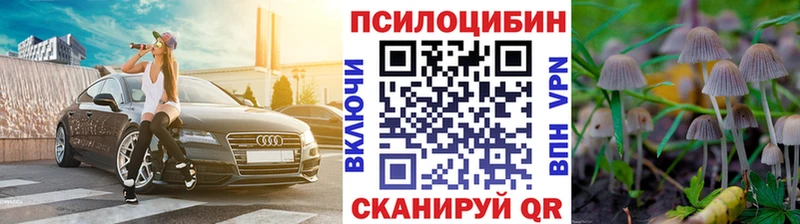 Псилоцибиновые грибы Psilocybe  hydra сайт  Сорск  купить закладку 